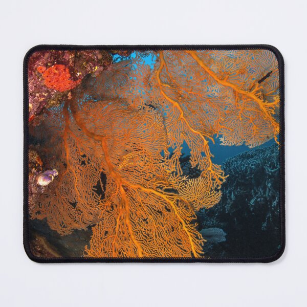 Item preview, Breathtaking landscape of the Great Barrier Reef designed and sold by slonchak.