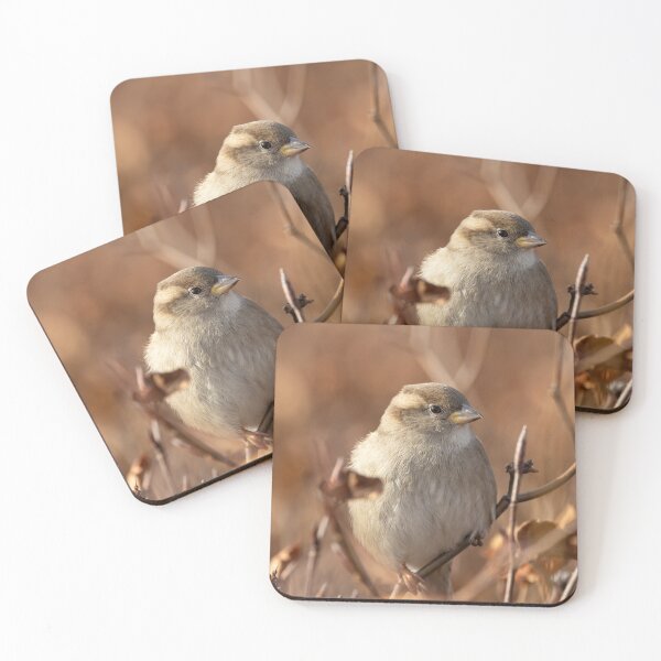 Item preview, The house sparrow (Passer domesticus) designed and sold by Piotr Front.