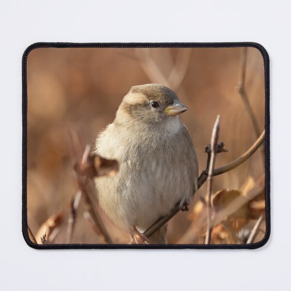 Item preview, The house sparrow (Passer domesticus) designed and sold by Piotr Front.