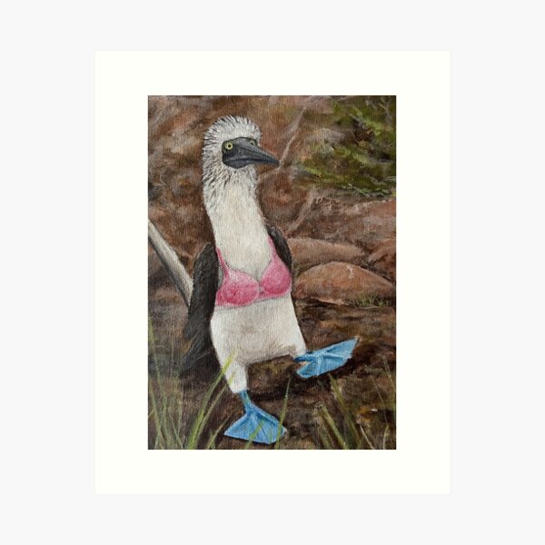 Hand Painted Leggings or Crops - Blue Footed Boobi - NuevoSol