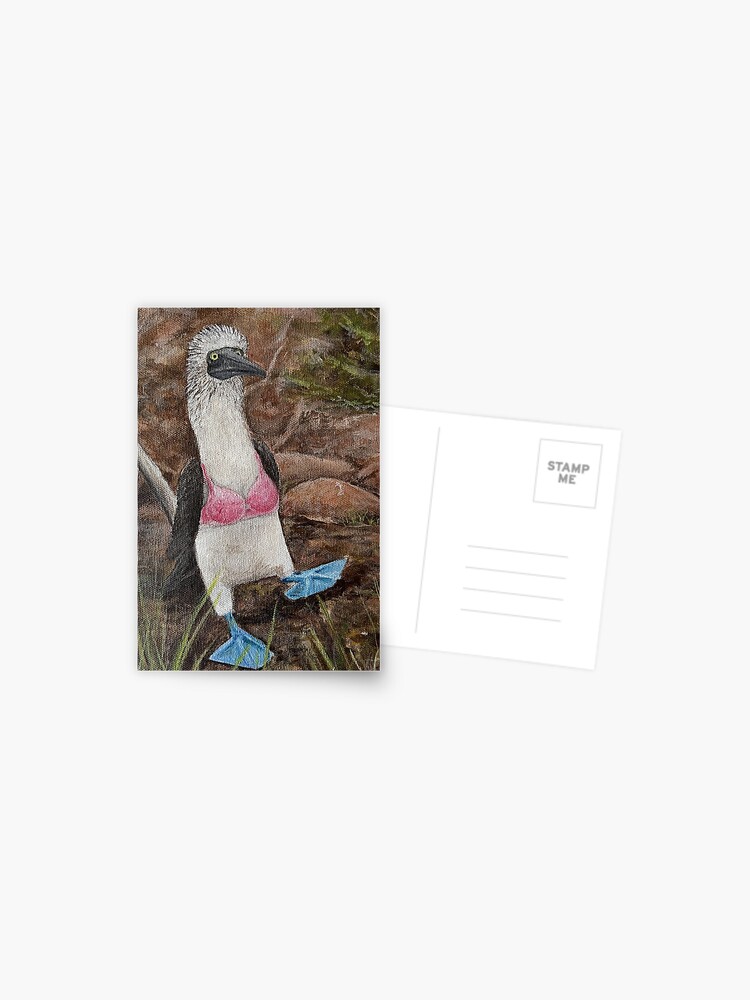Check Out These Boobies Cheeky Postcard Blue Footed Boobies