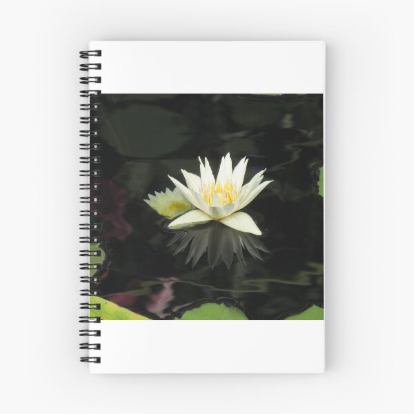 Item preview, Lily Reflection designed and sold by Simple Joys Photography.