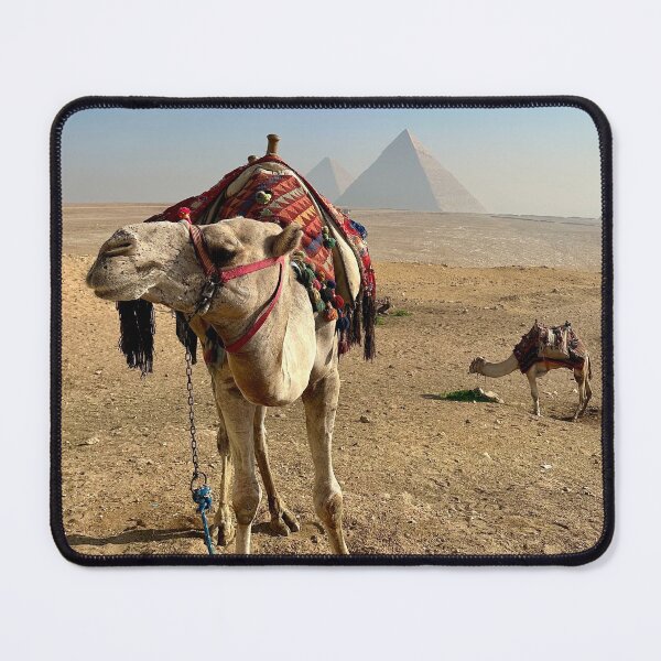 Item preview, Camels at Giza Plateau and the Ancient Egyptian Pyramids designed and sold by WanderingLife.