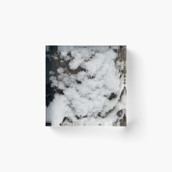 Item preview, Snow Covered Tree Trunk designed and sold by CJRPics.
