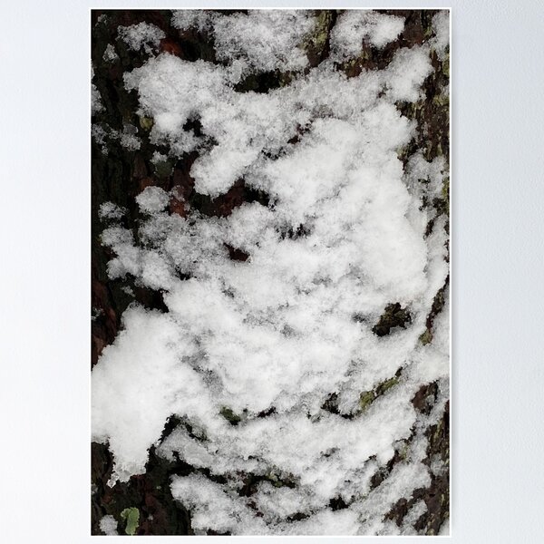 Item preview, Snow Covered Tree Trunk designed and sold by CJRPics.