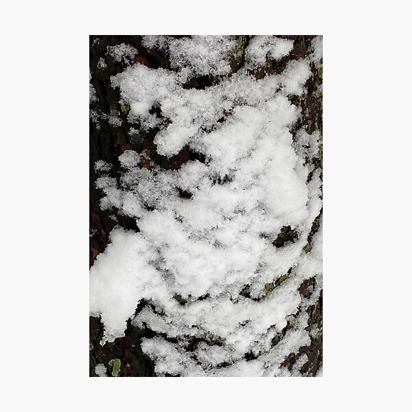 Item preview, Snow Covered Tree Trunk designed and sold by CJRPics.