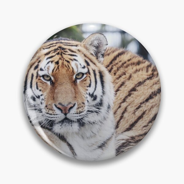 Item preview, real tiger image with fierce eyes designed and sold by Bubududu1234.