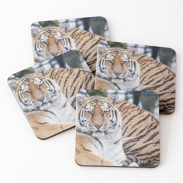 Item preview, real tiger image with fierce eyes designed and sold by Bubududu1234.
