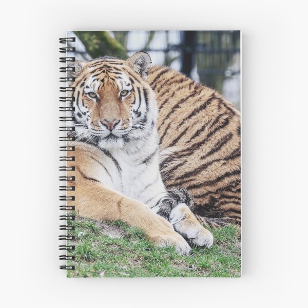 Item preview, real tiger image with fierce eyes designed and sold by Bubududu1234.
