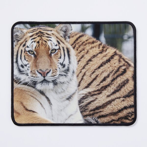 Item preview, real tiger image with fierce eyes designed and sold by Bubududu1234.