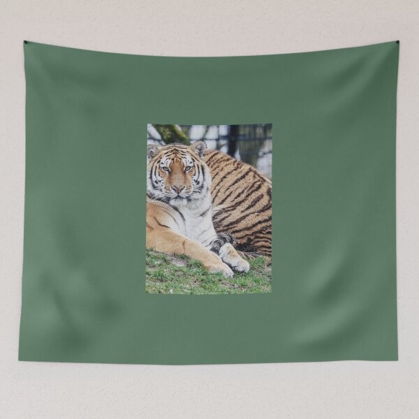 Item preview, real tiger image with fierce eyes designed and sold by Bubududu1234.