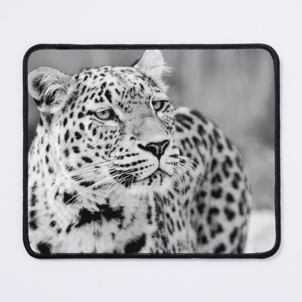 Item preview, Snow Leopard #2 designed and sold by KingdomWildlife.