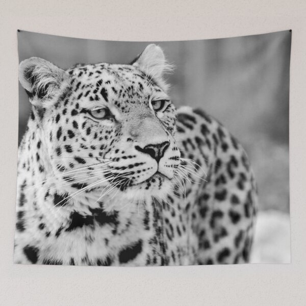 Item preview, Snow Leopard #2 designed and sold by KingdomWildlife.