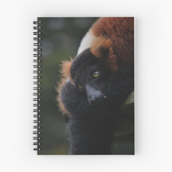 Item preview, Red-ruffed lemur designed and sold by LJarts.