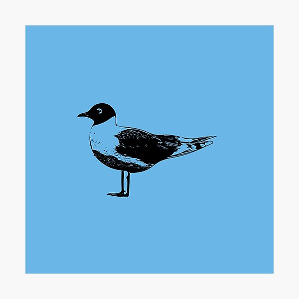 Item preview, Franklin's Gull Black Design  designed and sold by designsasstultd.
