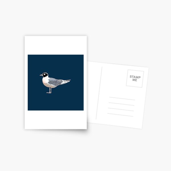Item preview, Franklin's Gull White Alternate Design  designed and sold by designsasstultd.