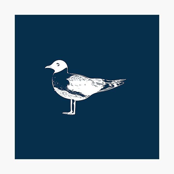 Item preview, Franklin's Gull White Design  designed and sold by designsasstultd.
