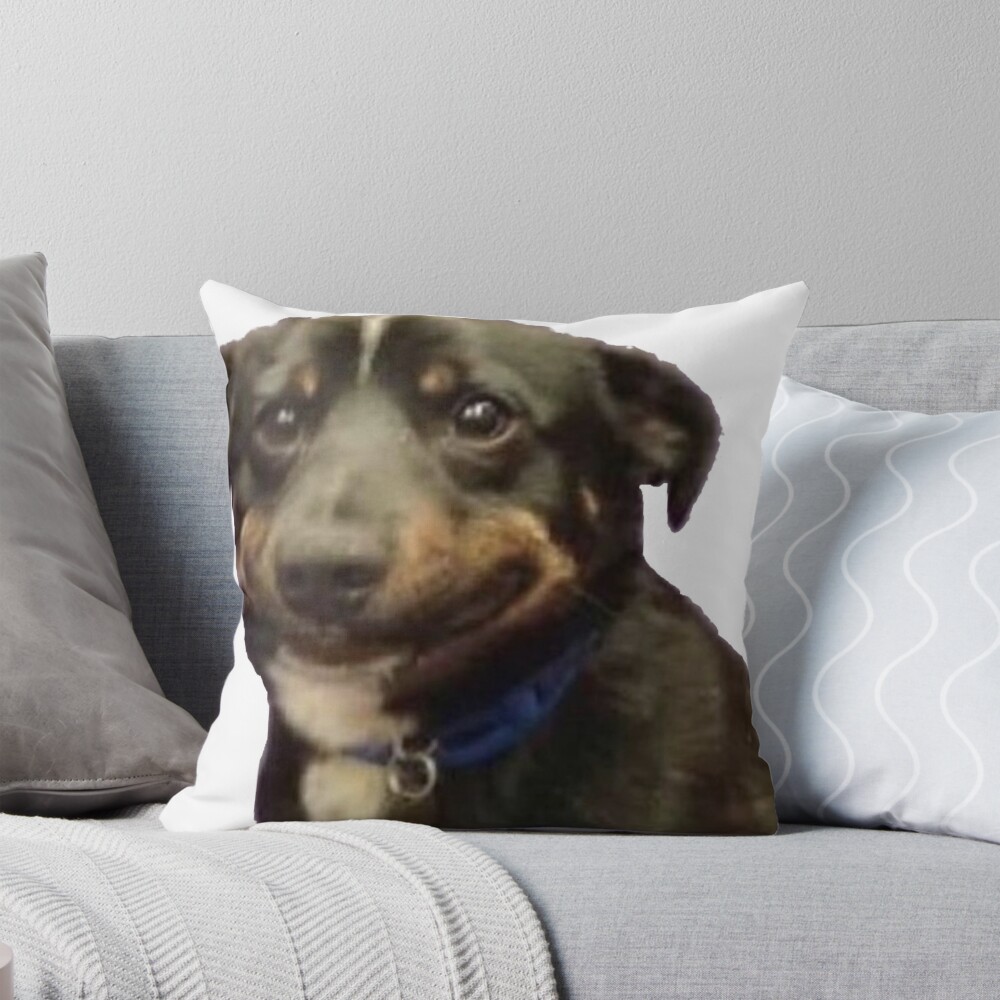 Cojín for Sale con la obra «torpe perro sonrisa meme» de syracuse2