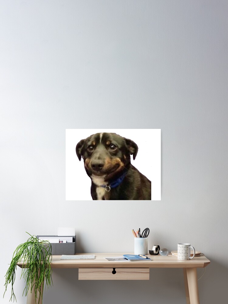 Awkward Dog Smile Meme Poster By Syracuse2 Redbubble