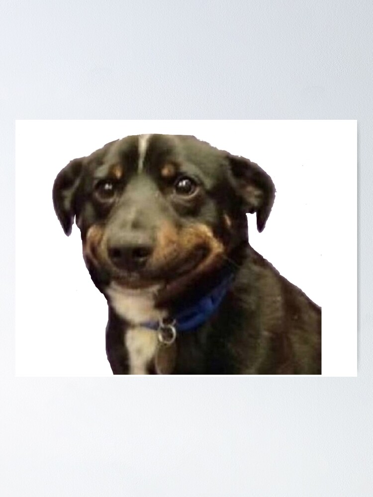 "awkward dog smile meme" Poster by syracuse2 | Redbubble