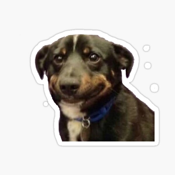 Item preview, awkward dog smile meme designed and sold by Jennie J.
