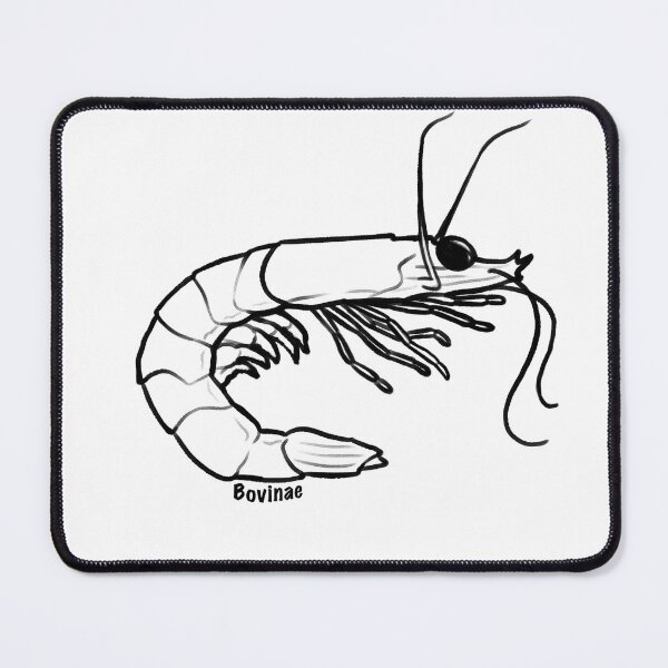Item preview, It’s a prawn outline designed and sold by Bovinae Art.