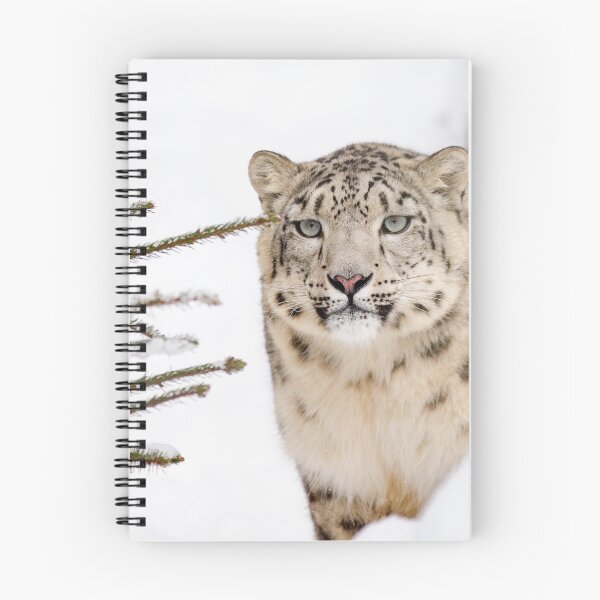 Item preview, Snow Leopard #14 designed and sold by KingdomWildlife.