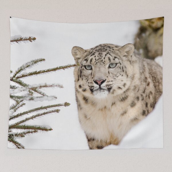 Item preview, Snow Leopard #14 designed and sold by KingdomWildlife.