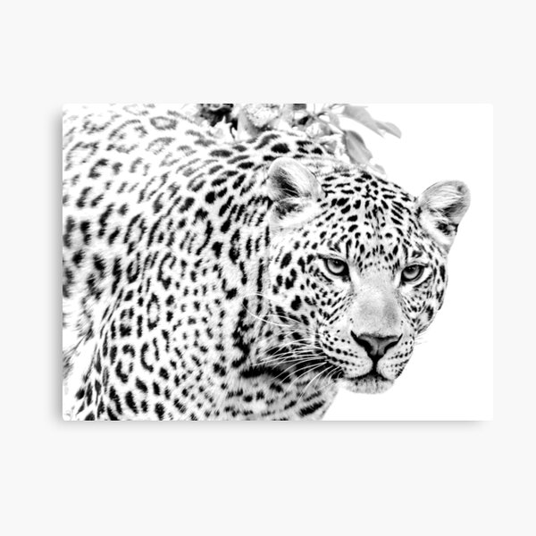 Item preview, Snow Leopard #18 designed and sold by KingdomWildlife.