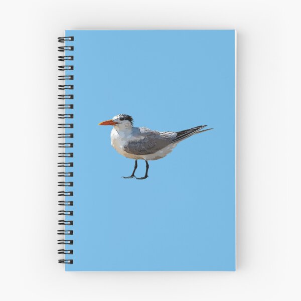 Item preview, Royal Tern Color Design  designed and sold by designsasstultd.