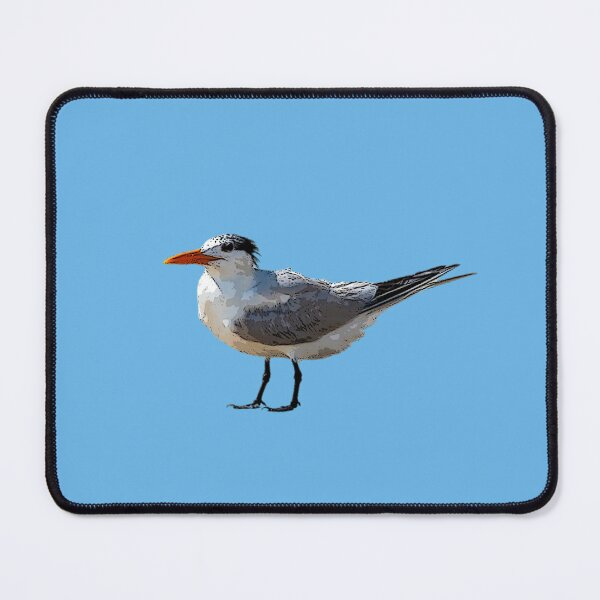 Item preview, Royal Tern Color Design  designed and sold by designsasstultd.