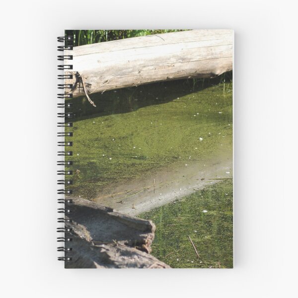 Item preview, find the frogs, Trojan pond, near Goble, Oregon designed and sold by Dawna Morton.