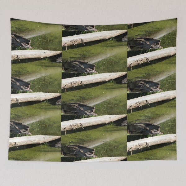 Item preview, find the frogs, Trojan pond, near Goble, Oregon designed and sold by Dawna Morton.