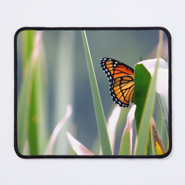 Item preview, Monarch Stained Glass designed and sold by artbybutterfly.