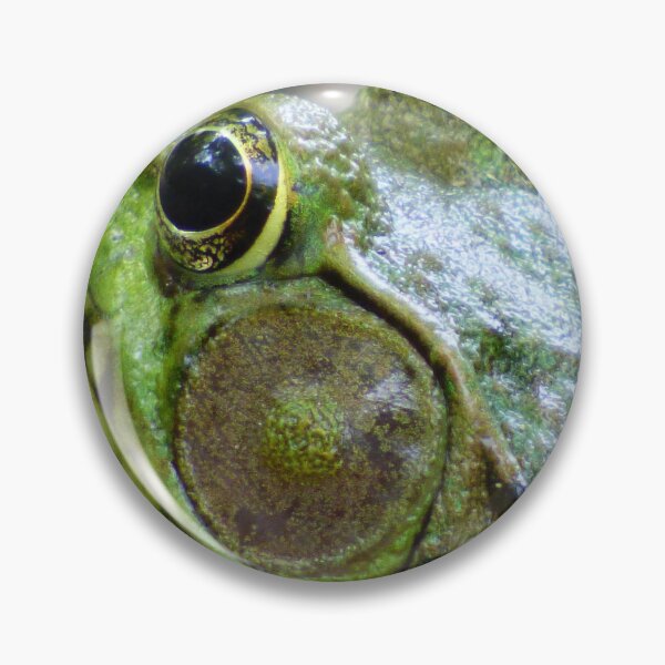 Item preview, Frog Head designed and sold by artbybutterfly.