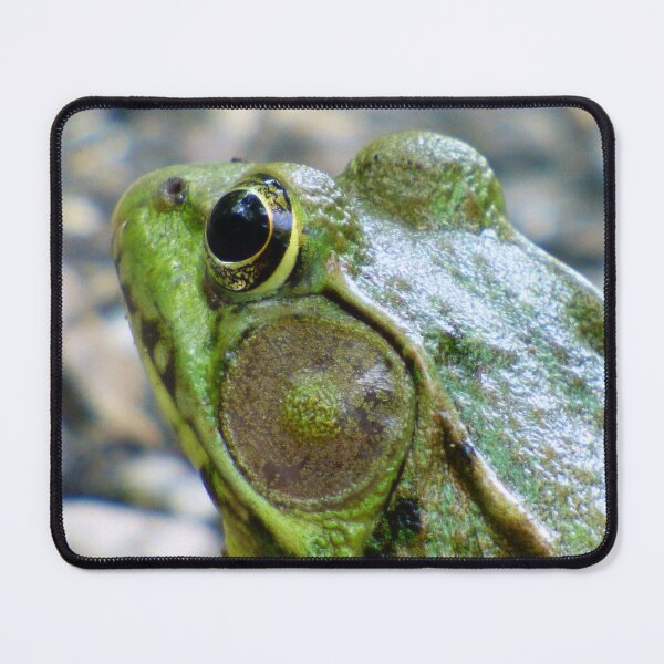 Item preview, Frog Head designed and sold by artbybutterfly.