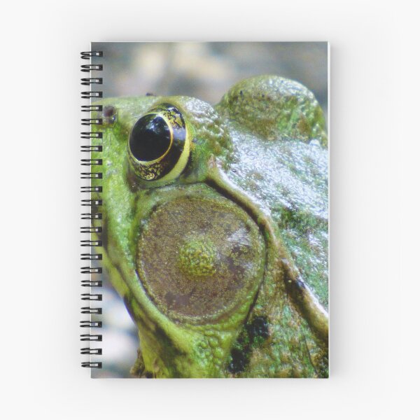 Item preview, Frog Head designed and sold by artbybutterfly.