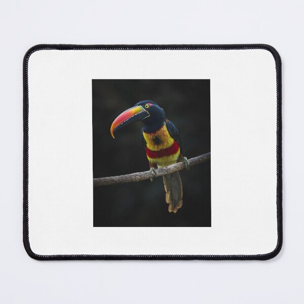 Item preview, animal elite designed and sold by Megan J  Miller.