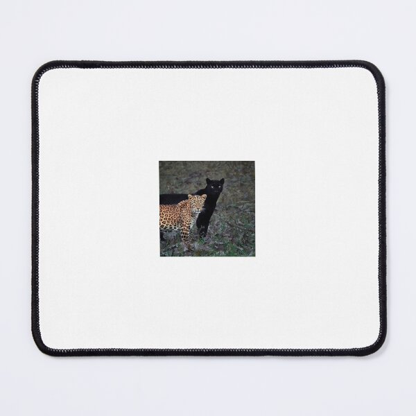 Item preview, animal elite designed and sold by Megan J  Miller.
