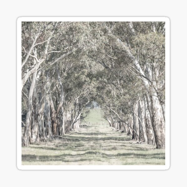 Item preview, Down the Track, Whittlesea  designed and sold by Liza Clements Photographic.
