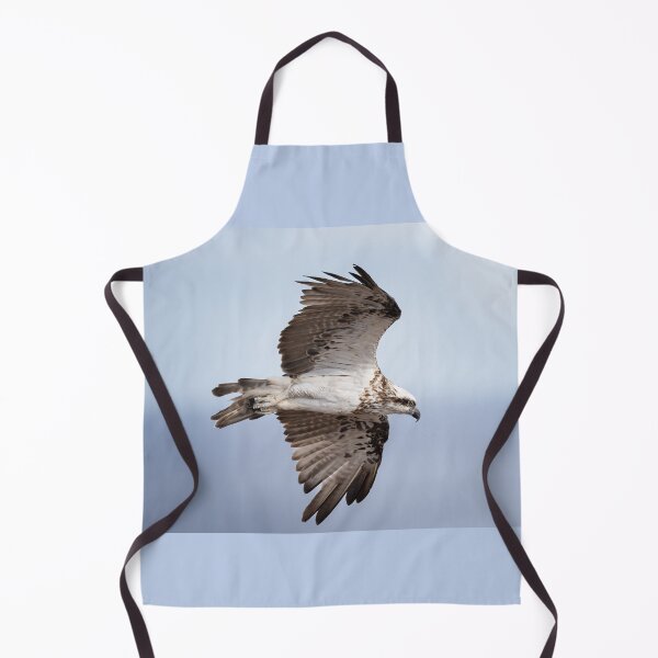 Item preview, Osprey flying over the Northern beaches of Australia - osprey designed and sold by Tara Smithson.