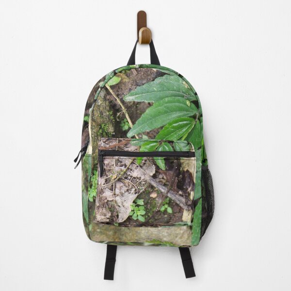 Item preview, Elatostema species growing on a cliff in Cebu, Philippines designed and sold by The Botanical Jason.