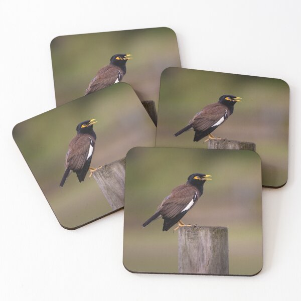 Item preview, Myna bird in Australia - cute bird designed and sold by Tara Smithson.
