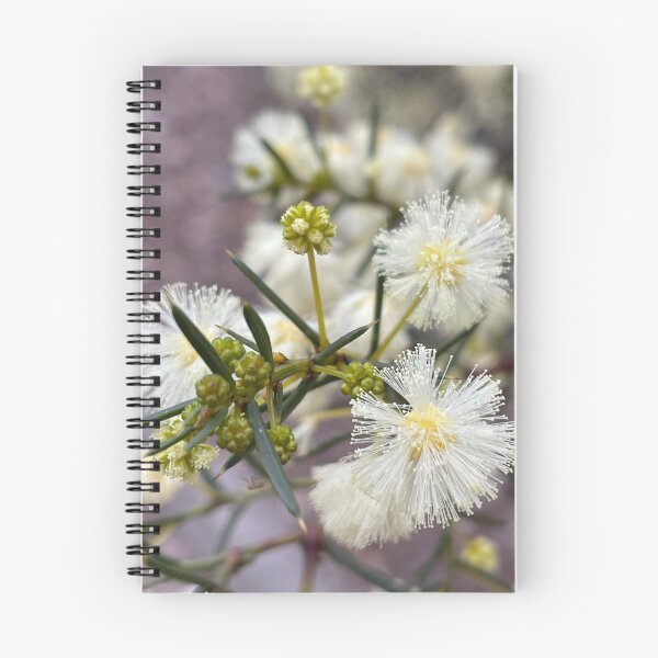 Item preview, White wattle  designed and sold by AnnasFloristry.