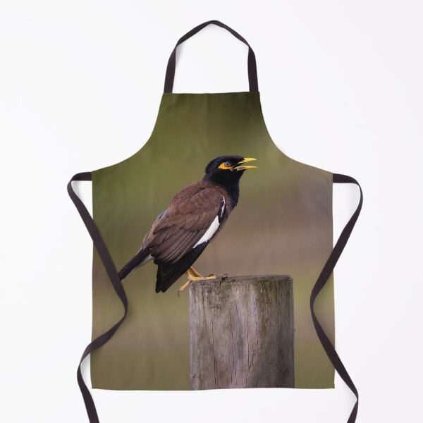 Item preview, Myna bird in Australia - cute bird designed and sold by Tara Smithson.