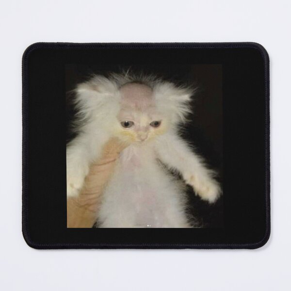 Item preview, bald cat lmao designed and sold by CatDealer.