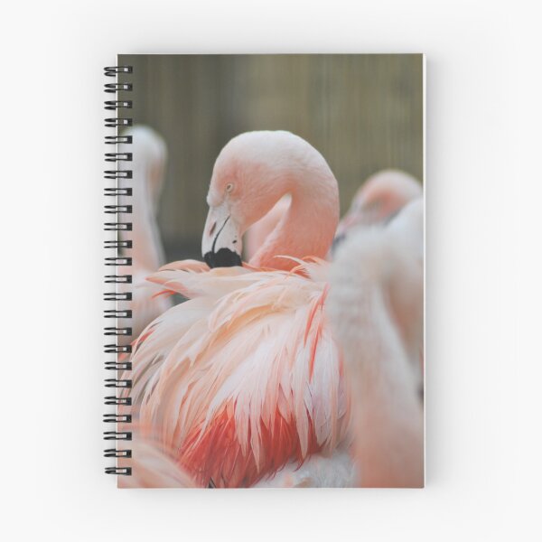 Item preview, flamingo Preening  designed and sold by LJarts.