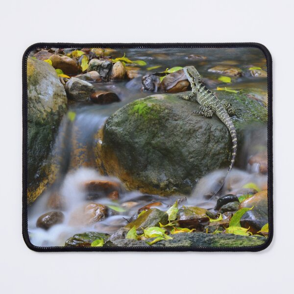 Item preview, Water Dragon in Autumn designed and sold by Keats68.