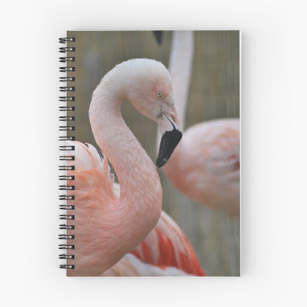 Item preview, Flamingo designed and sold by LJarts.