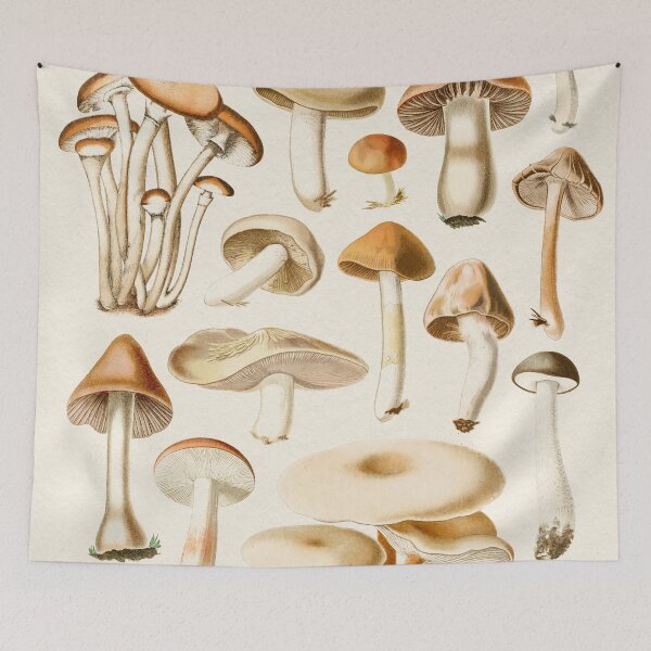 Item preview, Mushrooms Collection designed and sold by galdesign.
